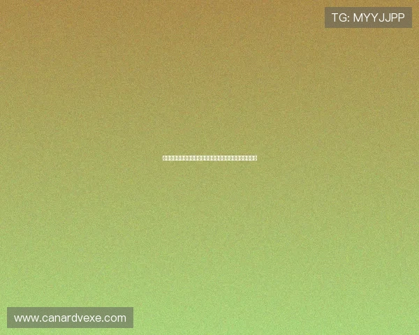 九游有限公司的产品多样化策略及其在不同市场的适应性分析