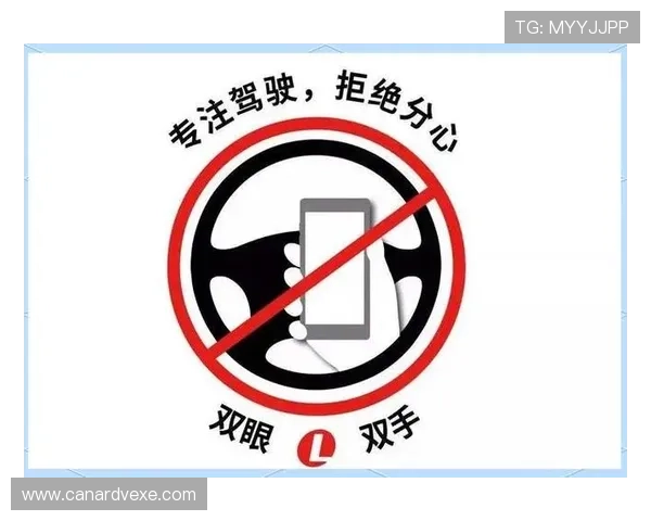 九游网站入口安全保障措施，保障用户信息安全与账号安全的实用建议